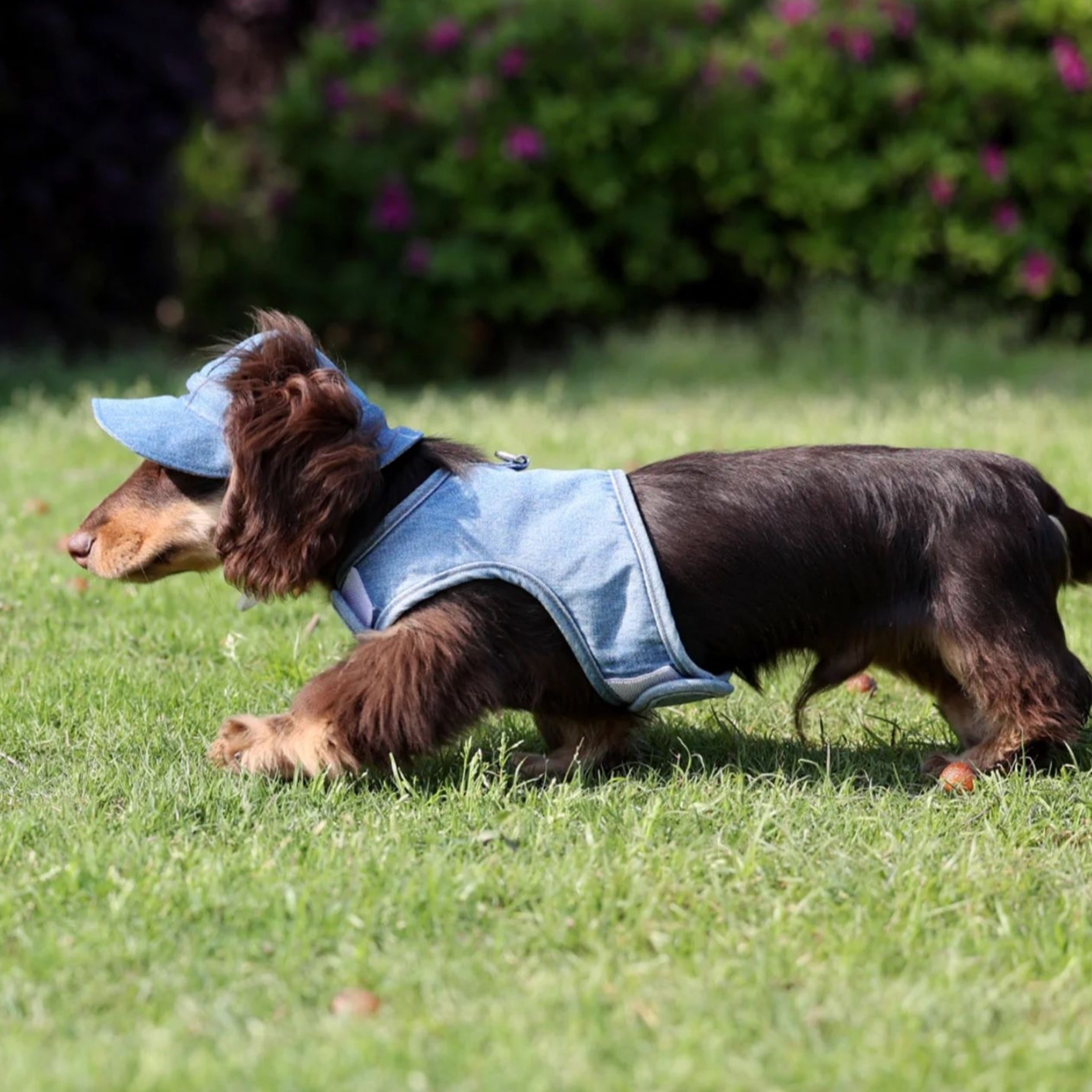 Pet Wild Cowboy Hat Sunscreen Dog Sun Protection