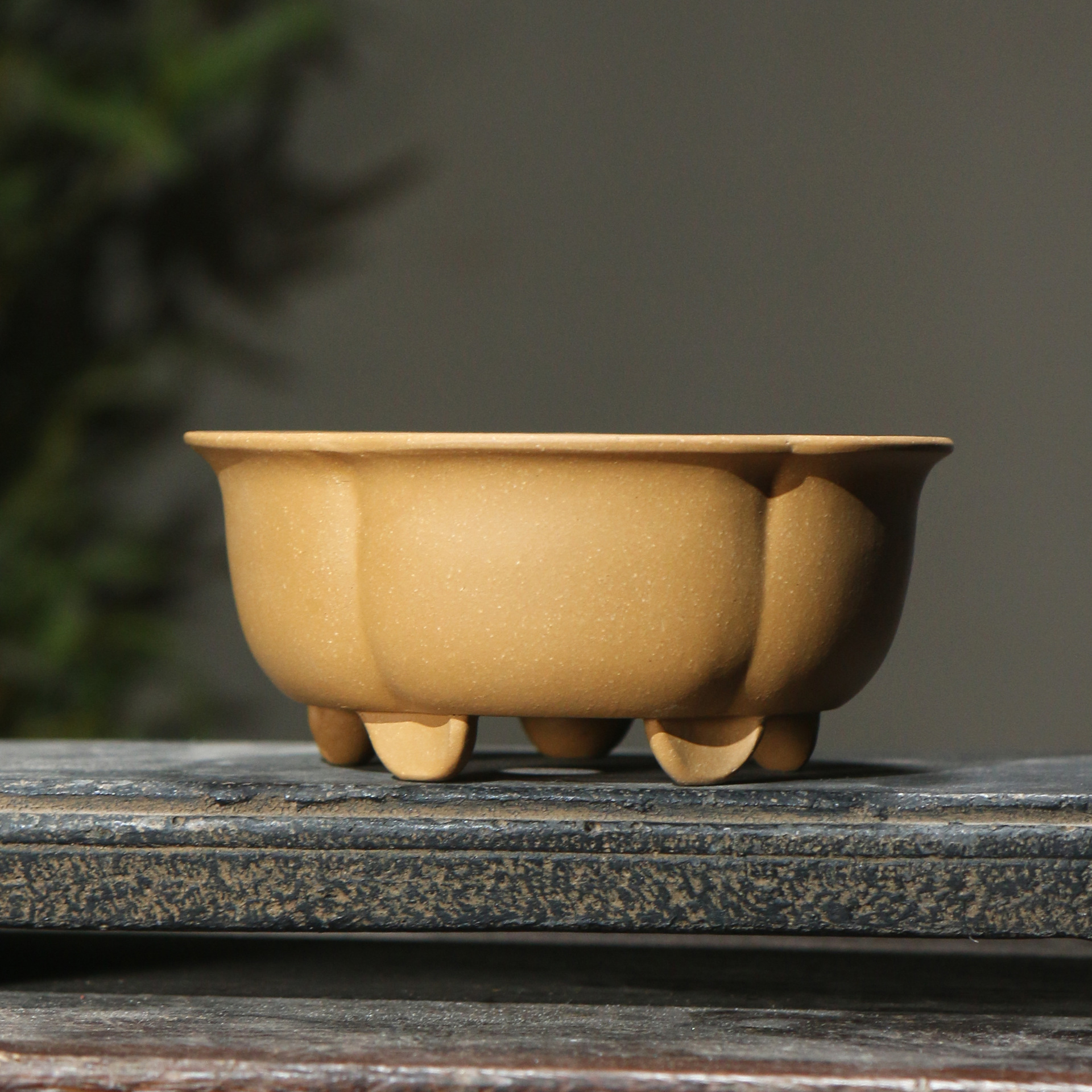 Purple Sand Flower Pot Petal-shaped Plum-shaped