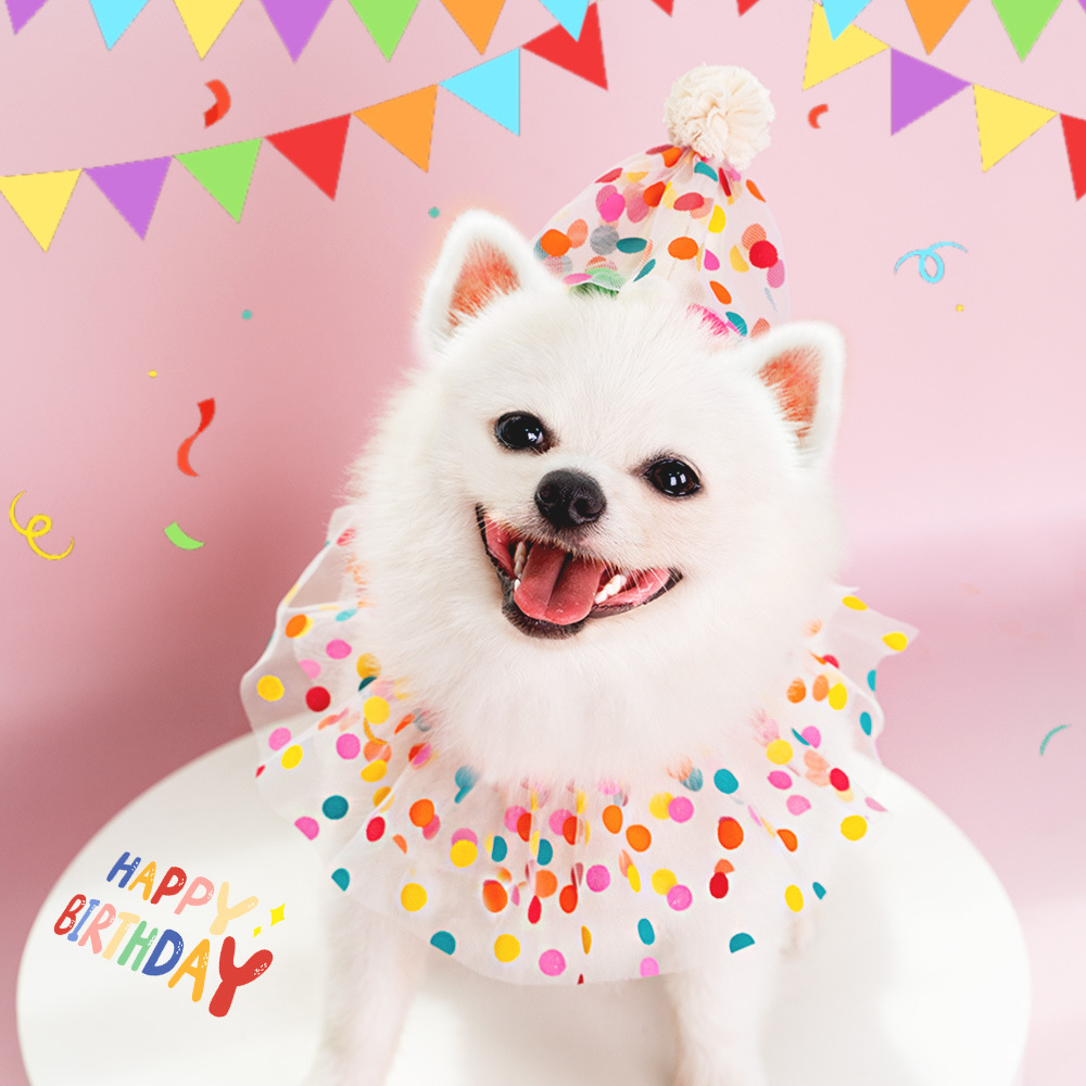 Pet Polka Dot Lace Bib Dog Birthday Suit