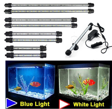 LED Lantern