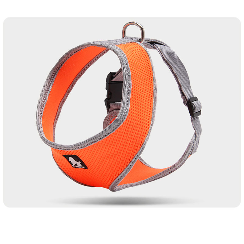 Towing Rope For Small Dogs
