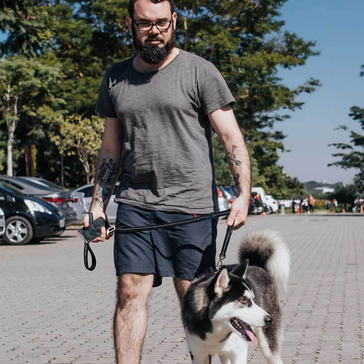 Car Traction Dog Leash Can Go Out Walking Artifact