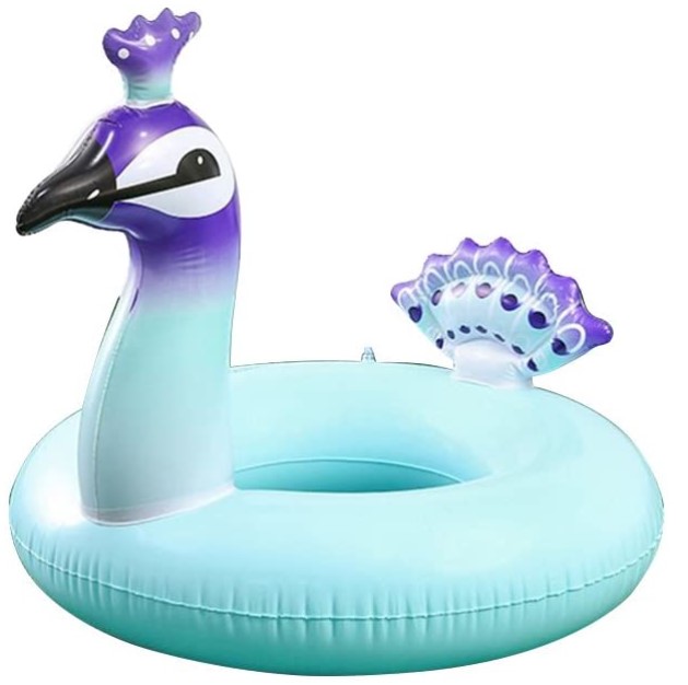 Swimming Ring