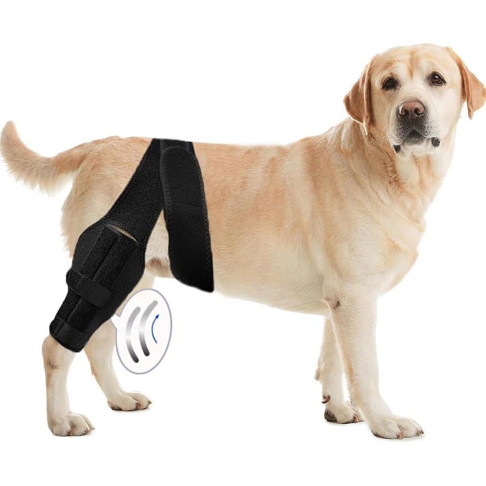 Pet Protective Gear Dog Leg Injury Assistance Support Bar Rehabilitation
