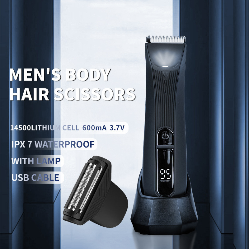 Electric Shaver