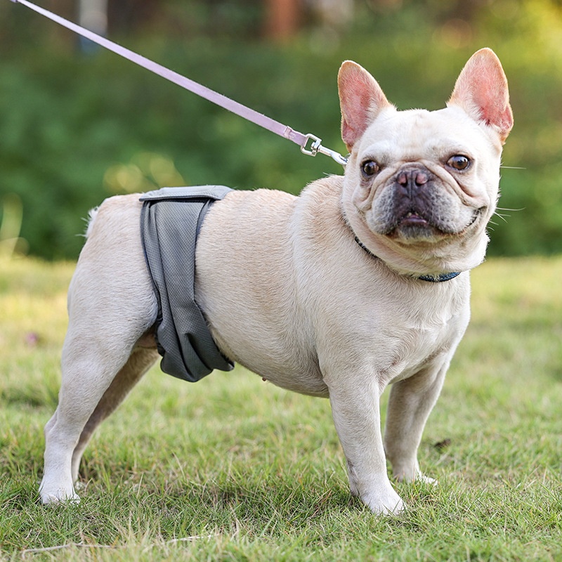 Sterilization Menstrual Panties Anti-harassment Male Dog Diaper Pants