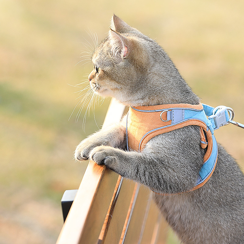 Cat Traction Rope Home Vest-style Chest Harness Cute Anti-stroke Walking