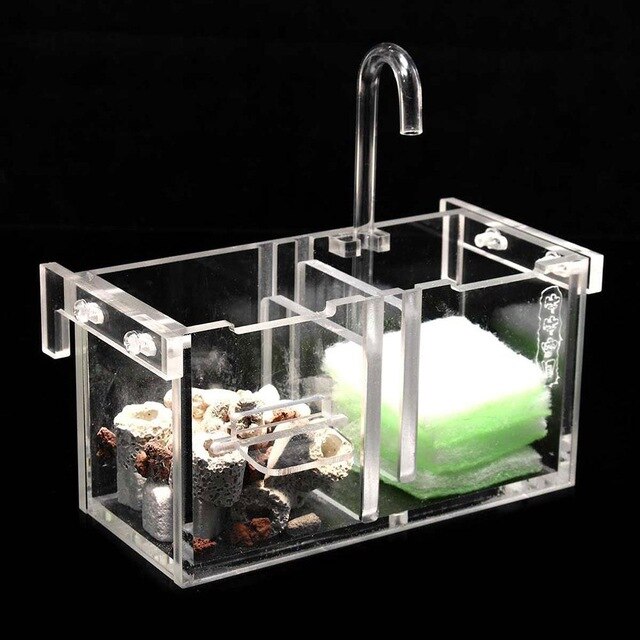 Put The Wet Filter Box On To Separate Fish Tank