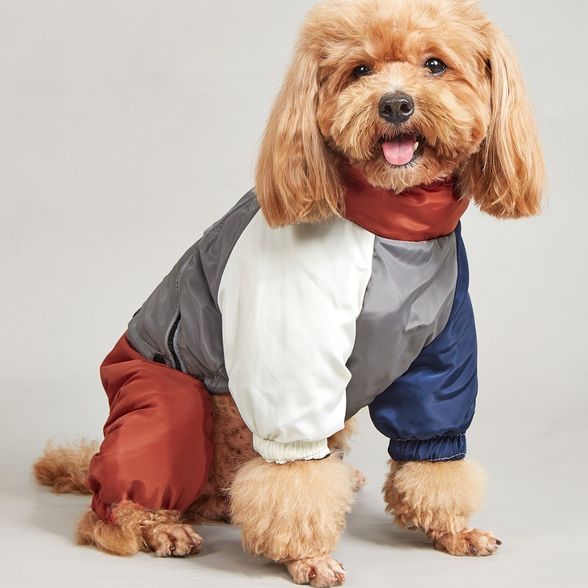 Pet Winter Color Matching Cotton-padded Clothes Dog Medium Large Warm