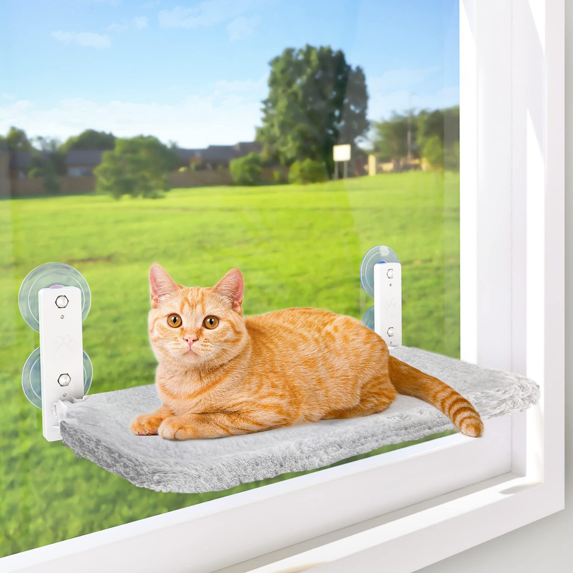 Pet Supplies Cordless Window Perches Cat Hammock Indoor Foldable Seat