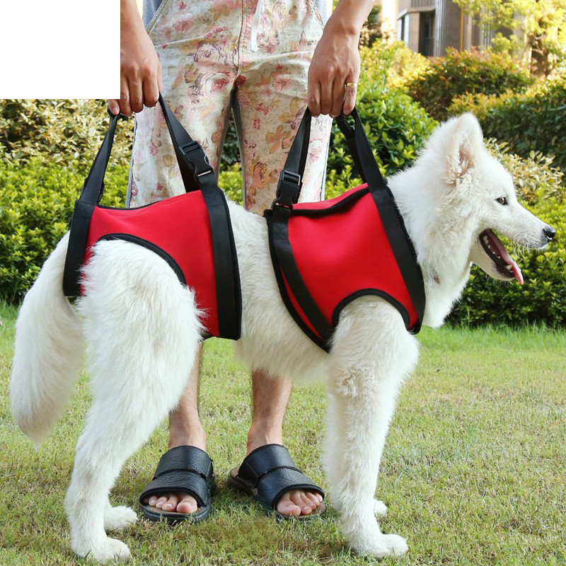 Dog Pet Assist Belt Elderly Hind Leg