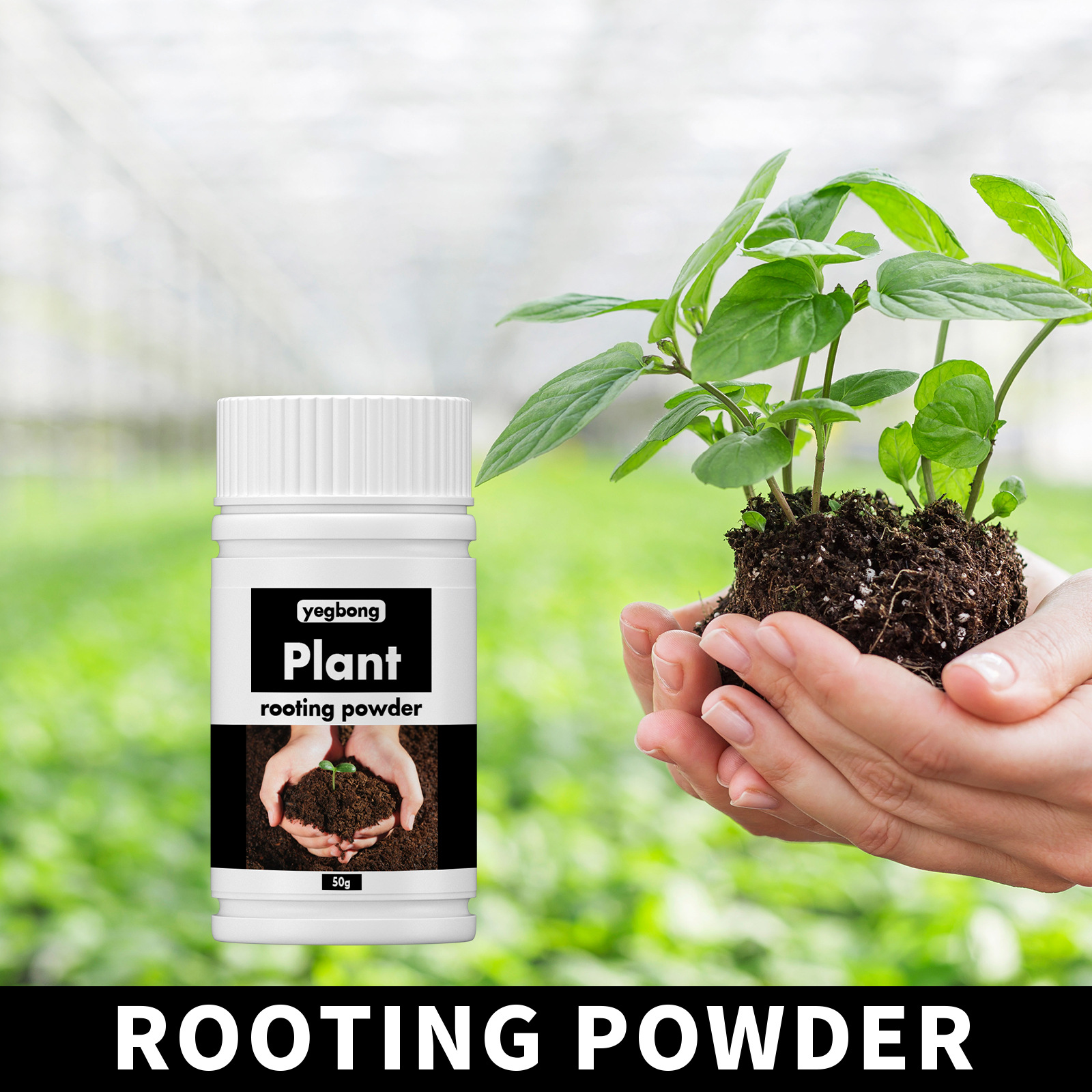 Transplanting Trees And Fruit Root System Nutrition Powder